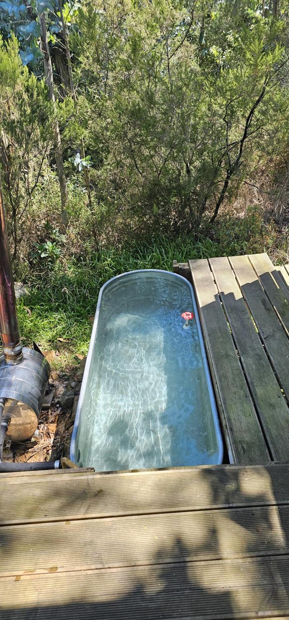 Glasshouse - Near River - Near - Near Ocean Lodge *